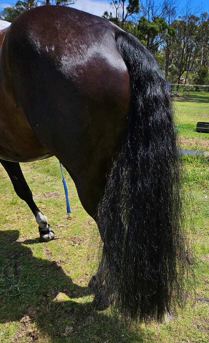 Equine Super Goo 'Hot Oil Super Wash' 500ml
