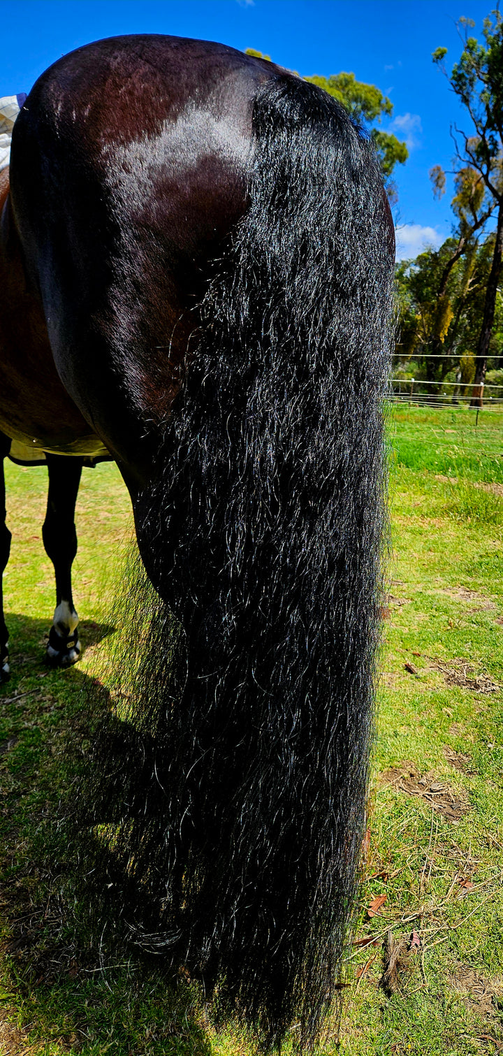 Equine Super Goo 'Super Shampoo' 500ml