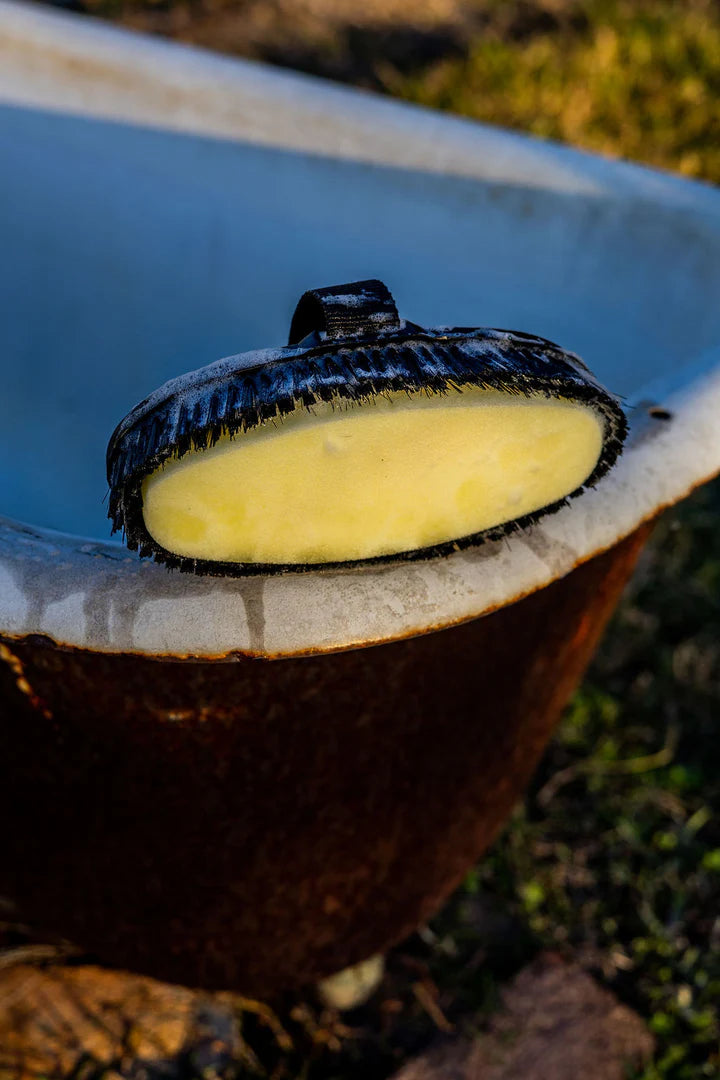 GeeGee COLLECTIVE - 'Suds' Sponge Brush