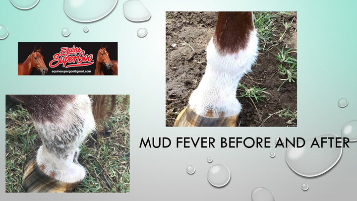 Equine Super Original Cream