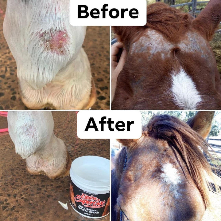 Equine Super Original Cream