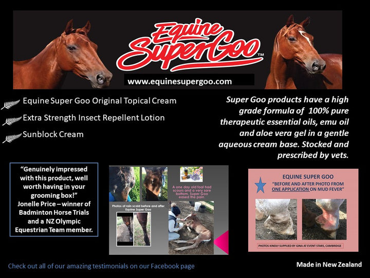 Equine Super Original Cream